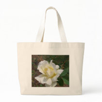 Aerodynamic White Rose - CricketDiane Art Products