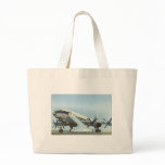 Aeroflot Tu 114 AIRLINER bags