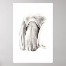 Aesthetic Dentistry Poster