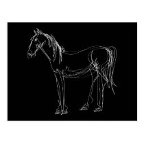 Afewliner Horse Black Postcard postcards