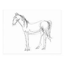 Afewliner Horse Postcard postcards