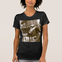 Affairs begin in champagne ... shirts