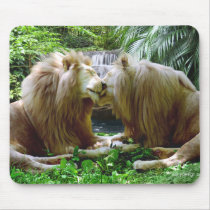 Affectionate Lions mousepads