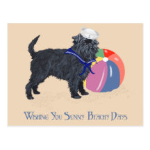 Affenpinscher at the Beach Postcard