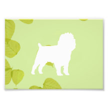 Affenpinscher Green Leaves Design Photo Art