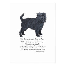 Affenpinscher Keepsake Postcard