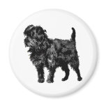 Affenpinscher Magnet