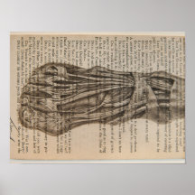 affiche anatomique de pied