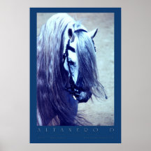 Affiche andalouse
