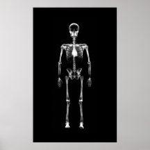 Affiche - blanc noir squelettique simple de vision