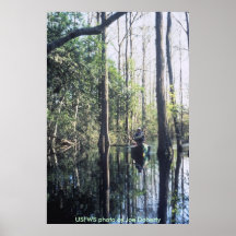 Affiche/canoë-kayak chez Okenfenokee NWR