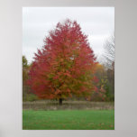 Affiche changeante rouge solitaire