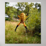 " Affiche Crawly "déplaisante