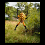 " Affiche Crawly "déplaisante affiches