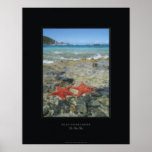 Affiche "d'amants d'étoiles de mer"