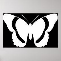 Affiche d'amiral blanc papillon