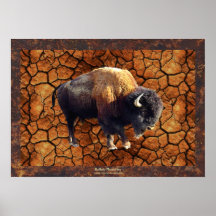 Affiche d'art de faune de Buffalo (bison)