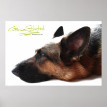 Affiche de berger allemand