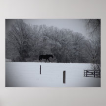 affiche de cheval d'hiver