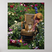 Affiche de chiot de boxeur dans le jardin
