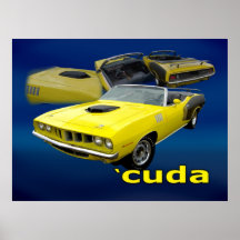 Affiche de Cuda