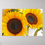 Affiche de deux tournesols