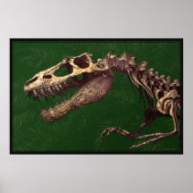 Affiche de Dino T Rex