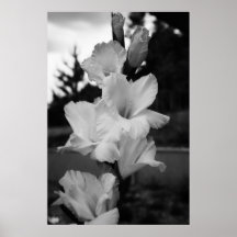 Affiche de fleur de mariage