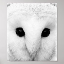 Affiche de hibou de Milou