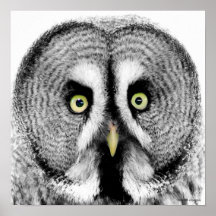 Affiche de hibou "de yeux percés en vrille"