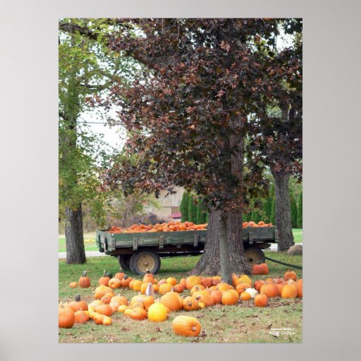 Affiche de la générosité I de l'automne