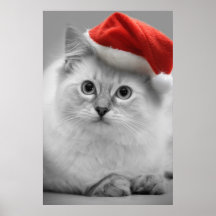 Affiche de minou de Noël