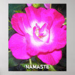 Affiche de Namaste