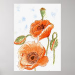 Affiche de "petits pavots"