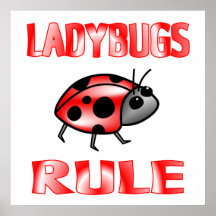 Affiche de RÈGLE de COCCINELLES
