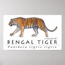 Affiche de tigre de Bengale