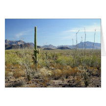 Affiche du désert 04 de Sonoran Carte De Vœux