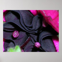 affiche fuchsia de détail