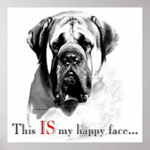 Affiche heureuse de visage de mastiff