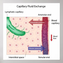 Affiche liquide capillaire d'échange