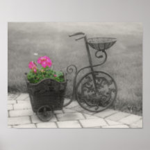 Affiche partielle de couleur de BW de bicyclette d