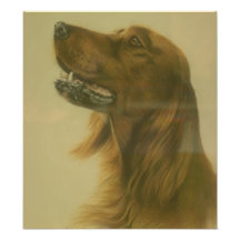 Affiche personnalisable d'art de poseur irlandais art photographique