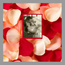 Affiche romantique de photo de pétale de rose affiches