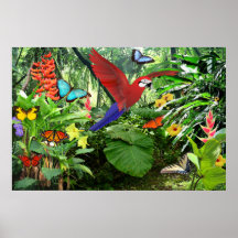 Affiche tropicale de forêt tropicale
