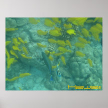 Affiche tropicale de poissons hawaïens