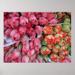 AFFICHE - tulipes à l'affiche de Lyon France du ma
