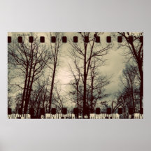 Affiche vintage d'arbres