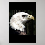 Affiches américaines d'Eagles d'impression d'affic