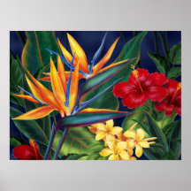 Affiches tropicales de paradis