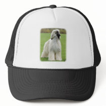 Afghan Hound 9Y247D-010 Hat